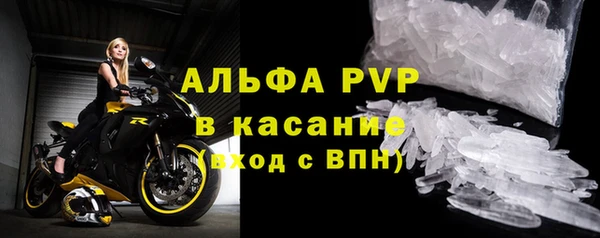 СК Ельня